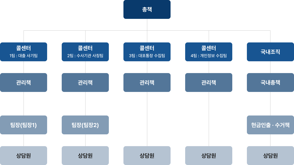 보이스피싱 범죄조직 조직표